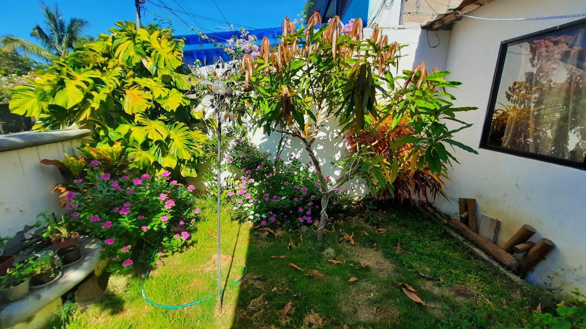 Alma De Cedrela Apartment ปูแอร์โตอาโยรา ภายนอก รูปภาพ