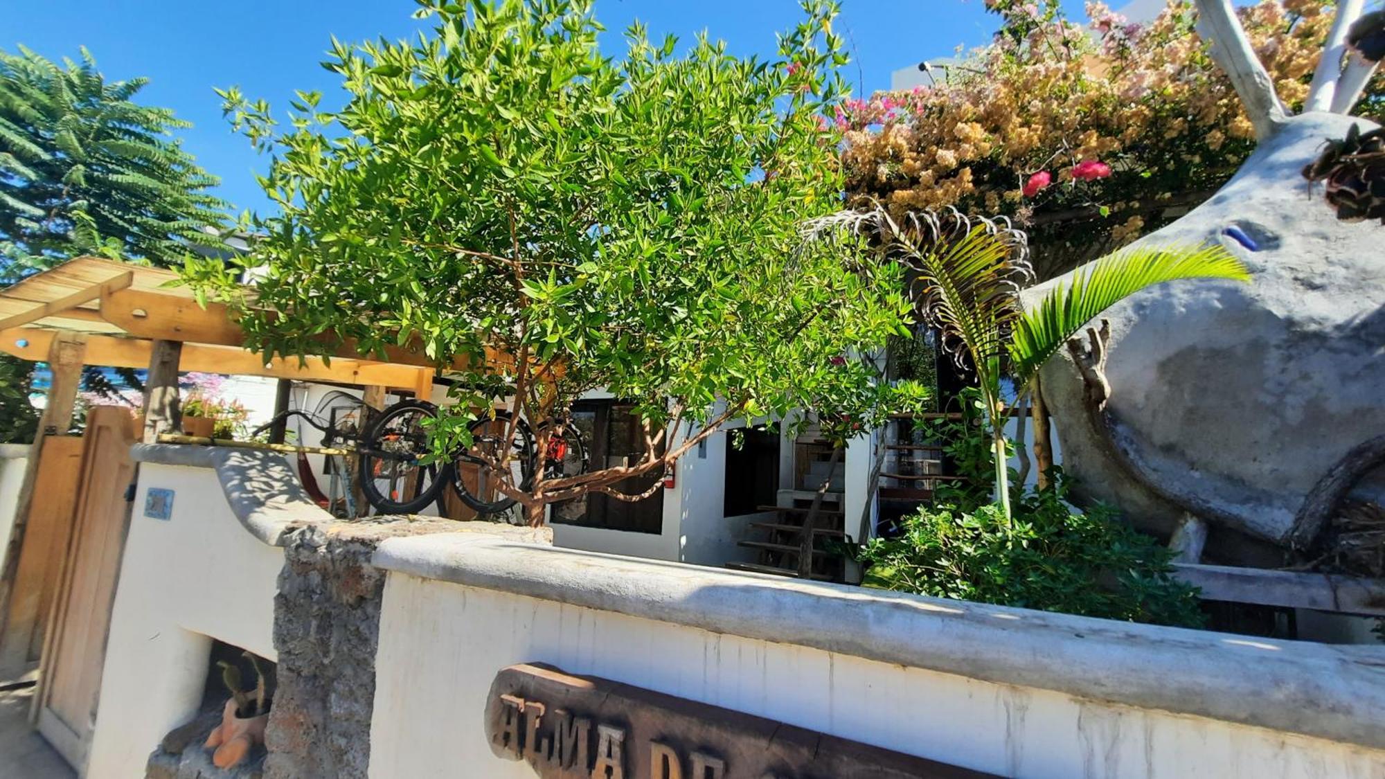 Alma De Cedrela Apartment ปูแอร์โตอาโยรา ภายนอก รูปภาพ